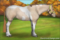 Horse Color:Red Roan Pearl Tobiano Frame 