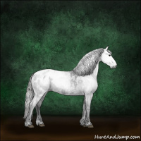 Horse Color:Gray Blue Roan Sabino Appaloosa