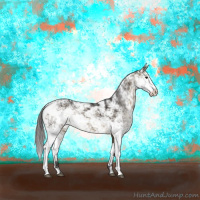 Horse Color:Buckskin Sabino 