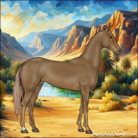Horse Color:Chocolate Palomino 