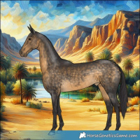 Horse Color:Buckskin 