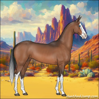 Horse Color:Bay Splash