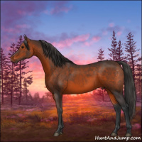 Horse Color:Brown 