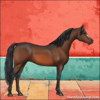 Horse Color:Brown 