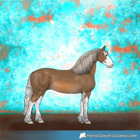 Horse Color:Chocolate Palomino Sabino Splash 