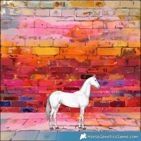 Horse Color:Gray Brown Dun Appaloosa Brindle