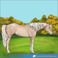 Horse Color:Chocolate Palomino Pearl Splash Tobiano