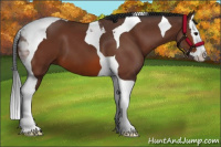 Horse Color:Bay Splash Tobiano 