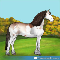Horse Color:Silver Brown Onyx Splash  and Sable Champagne Onyx Splash 