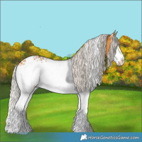 Horse Color:White Spotted Silver Buckskin Sabino Splash 