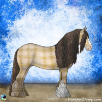 Horse Color:Plaid  Amber Champagne 