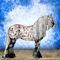 Horse Color:Plaid  Silver Bay Sabino Splash 