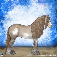 Horse Color:Liver Red Dun Sabino Frame Rabicano 