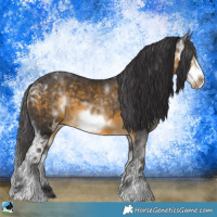 Horse Color:Buckskin Ice Sabino Frame 