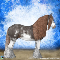 Horse Color:Liver Chestnut Sabino Splash Frame 