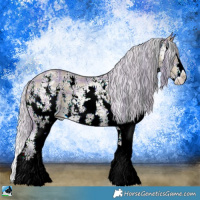 Horse Color:Watercolor Plaid Silver Brown Ice Sabino Splash