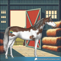 Horse Color:Liver Chestnut Mushroom Splash Frame 