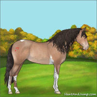 Horse Color:Sable Champagne Tobiano Rabicano 