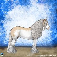 Horse Color:Silver Classic Champagne Dun Splash Frame 