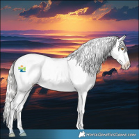 Horse Color:Silver Classic Champagne Blanket Rabicano