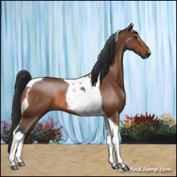 Horse Color:Bay Tobiano Rabicano 