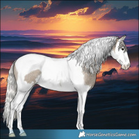 Horse Color:Silver Smoky Grullo Roan Splash Tobiano Rabicano 