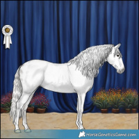 Horse Color:Gray Silver Blue Roan Appaloosa Rabicano 