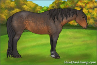 Horse Color:Buckskin Roan 