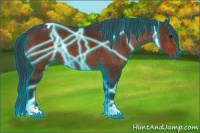 Horse Color:Thunderstruck Brown Tobiano 