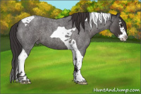 Horse Color:Smoky Blue Roan Splash Tobiano 
