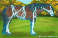 Horse Color:Thunderstruck Brown Roan Rabicano 