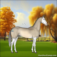 Horse Color:Buckskin Dun Splash 