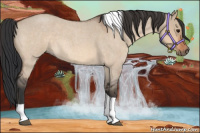 Horse Color:Bay Roan Dun Tobiano 