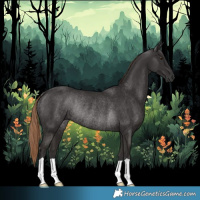 Horse Color:Liver Chestnut Rabicano