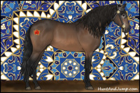 Horse Color:Gray Brown