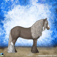 Horse Color:Silver Black 