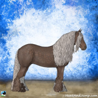 Horse Color:Silver Black 