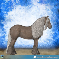 Horse Color:Silver Black 
