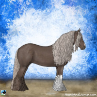 Horse Color:Silver Black 