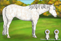 Horse Color:Cremello Leopard 