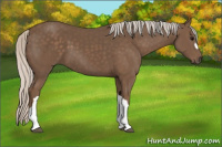 Horse Color:Silver Black 