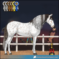Horse Color:White Spotted Bay Roan Near Leopard 