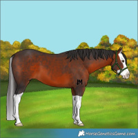 Horse Color:Brown Splash