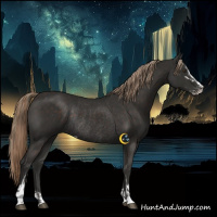 Horse Color:Liver Chestnut Sabino Rabicano  and Liver Chestnut Sabino Rabicano 