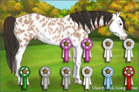 Horse Color:Bay Roan Splash Near Leopard Rabicano 