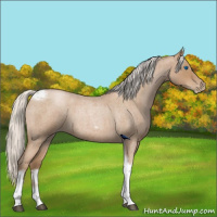 Horse Color:Silver Blue Roan Pearl Tobiano Frame