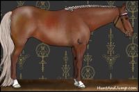 Horse Color:Chocolate Silver Bay
