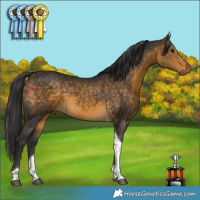 Horse Color:Buckskin Tobiano 