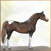 Horse Color:Liver Chestnut Tobiano 