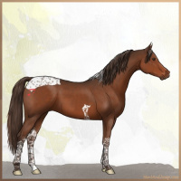 Horse Color:Liver Chestnut Tobiano 